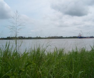 Magdalena River. Source: Panoramio.com por Luckmann72